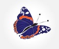 Butterfly blue insect logo vector image