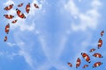 Butterfly on blur blue sky background