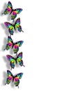 Butterfly Border 3D Rainbow colors Royalty Free Stock Photo