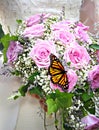 Butterfly Bouquet