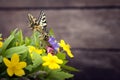 Butterfly and bouquet of field wild flowers in a vase on old boa Royalty Free Stock Photo