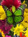 Butterfly bouquet