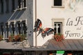 Butterfly on a building. Decorative ironwork sculpture.