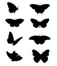 Butterfly, butterflies silhouette