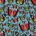 Butterfly cartoon drawing seamless pattern, vector background. Abstraction drawn insect with colorful bright wing on blue textured Royalty Free Stock Photo