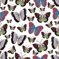 Butterfly cartoon drawing seamless pattern, vector background. Abstraction drawn insect with colorful pastel wings on white backgr Royalty Free Stock Photo