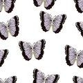 Butterfly cartoon drawing seamless pattern, vector background. Abstraction drawn insect with lilac purple black wings on white bac Royalty Free Stock Photo