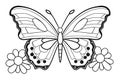 Butterfly childrens colouring pages