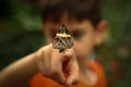 Butterfly and chlid finger closeup