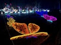 Butterfly Christmas decoration lights