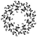 Butterfly circular pattern. Wreath of black butterfly isolated o