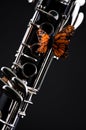 Butterfly on Clarinet Black Bk Royalty Free Stock Photo