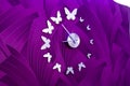 Butterfly clock