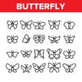 Butterfly Collection Elements Icons Set Vector Royalty Free Stock Photo