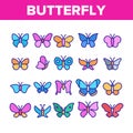 Butterfly Collection Elements Icons Set Vector Royalty Free Stock Photo