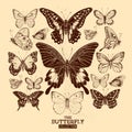 The Butterfly Collection