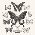 The Butterfly Collection