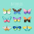 Butterfly collection illustration. Spring butterflies isolated on white background with colored wings