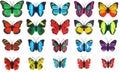 butterfly Royalty Free Stock Photo