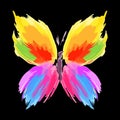 Butterfly from color splashes and line brushes. Vector Royalty Free Stock Photo