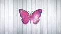 Butterfly colorful, background Royalty Free Stock Photo