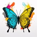 Butterfly with colorful splashes on white background. Vector illustration Royalty Free Stock Photo