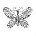 Butterfly coloring. Linear art. Black and white image of a butterfly. Coloring antistress for adults