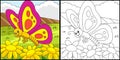 Butterfly Coloring Page Colored Illustration Royalty Free Stock Photo