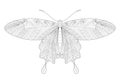 Butterfly coloring page. Doodle line art