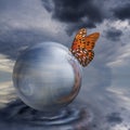 Butterfly on Crystal Ball Royalty Free Stock Photo