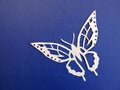 Butterfly cut from white paper on blue background Royalty Free Stock Photo