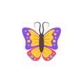 Butterfly cute symbol very elegant