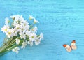 Butterfly and daisy on blue wooden background. Royalty Free Stock Photo