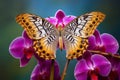 Butterfly delicately perched on the stamen of a blooming orchid, its wings a kaleidoscope of colors. Generative AI