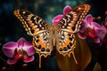 Butterfly delicately perched on the stamen of a blooming orchid, its wings a kaleidoscope of colors. Generative AI