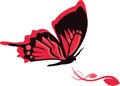 Butterfly Design