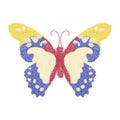 Butterfly design for clothing. isolated insect vector decoration