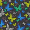 Butterfly in different color seamless pattern on black background