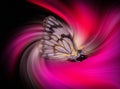 Butterfly on a digital flower twirl.
