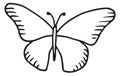 Butterfly doodle. Hand drawn flying moth icon