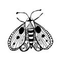 Butterfly in doodle style on isolated white background. Coloring book for kids and adults. Decorative hand drawn butterfly. Stock
