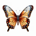 Butterfly dream Royalty Free Stock Photo