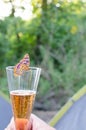 Butterfly Drinking Sparkling Wine Vertical