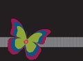 Vector illustration colorful butterfly,ribbon,button on black background. Embroidery textile fabric cloth checks pattern design