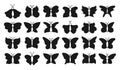 Butterfly exotic ornate stamp stencil set sign shape moths collection symbol stylized insect wings