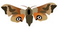 Butterfly eyed hawk moth
