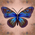 Butterfly fantasy exotic colorful drawing, gorgeous colors Painting in retro style ai Generated, generative AI, CGI graphics