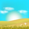 Butterfly fantasy paper art flying on grass field with clouds in