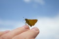 Butterfly on a female hand on a background of nature. Background. Royalty Free Stock Photo