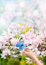 Butterfly on female hand and beautiful pink magnolia Royalty Free Stock Photo